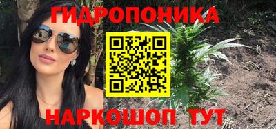 шишки Кулебаки