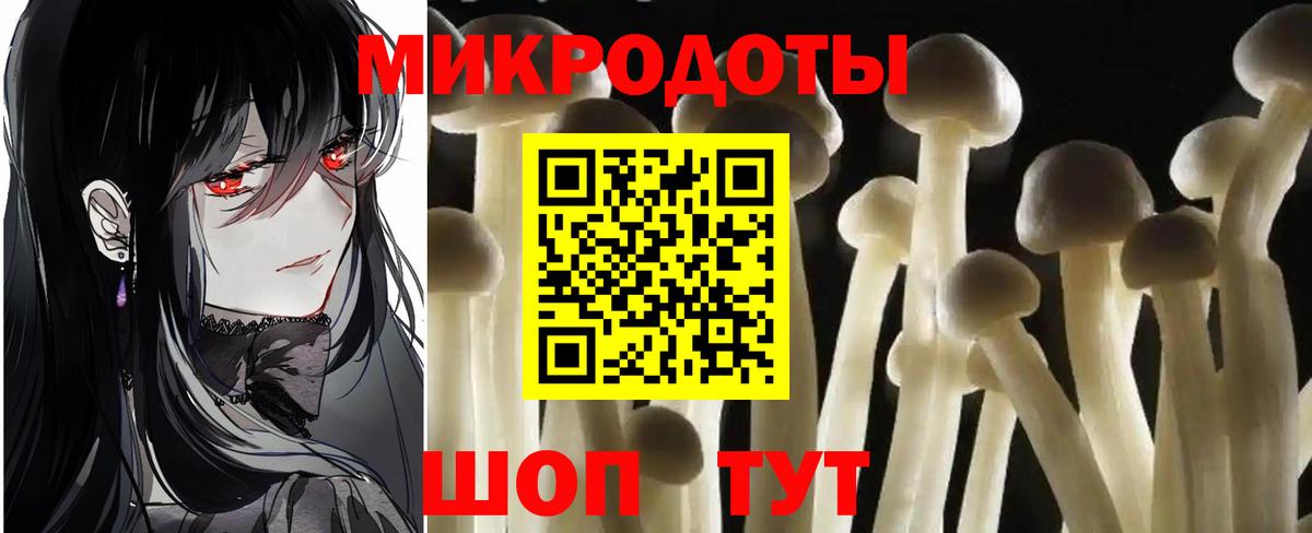 где найти   Псилоцибиновые грибы мицелий  Вход с VPN  Псилоцибиновые грибы мухоморы  Ессентуки 